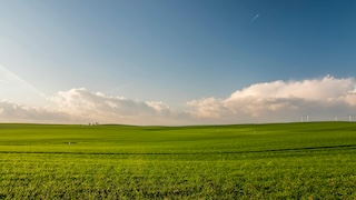صورة الفيديو