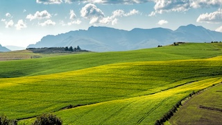 صورة الفيديو